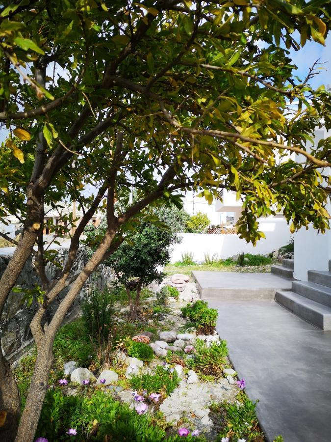 Summer Villa Adamantas  Exterior foto